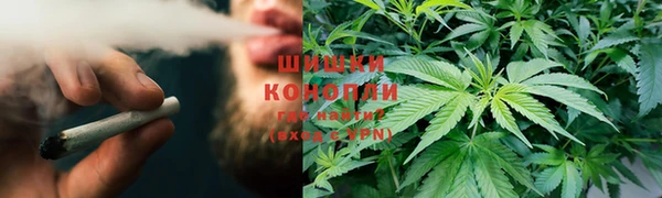 дурь Верея