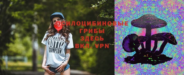 индика Верхний Тагил