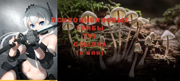 дурь Верея