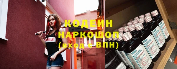 индика Верхний Тагил