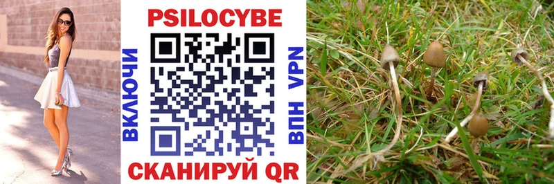 Купить  Павловск  Галлюциногенные грибы Cubensis 