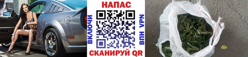 Бошки Шишки OG Kush  Купить  Павловск 